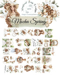 Mocha Spring PET Tape Matt 6m Rolle