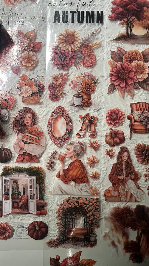 Chique Autumn PET 3D oil Tape transparent 2m Loop